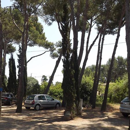 Rvapartaments Treumal Park Platja d'Aro Eksteriør bilde