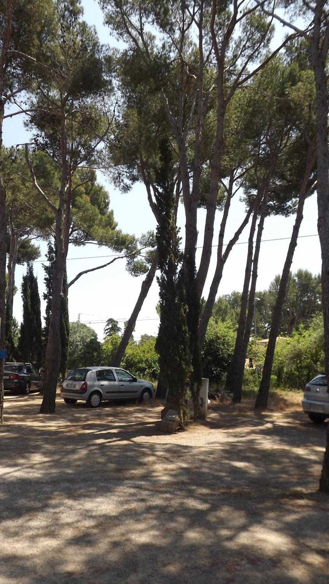 Rvapartaments Treumal Park Platja d'Aro Eksteriør bilde